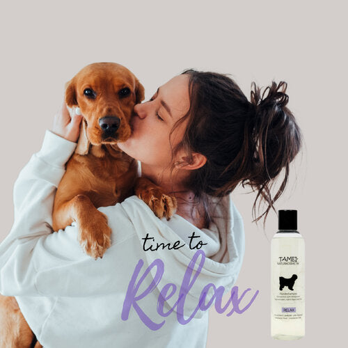 Relax 3er Set mit Tuch