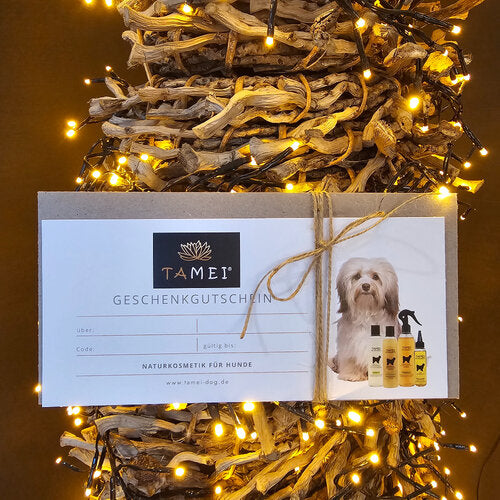 Geschenkgutschein-Karte mit Umschlag