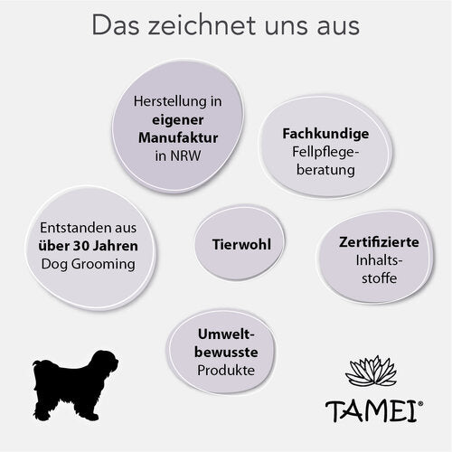 Sommer 4er Set - Frische & Schutz