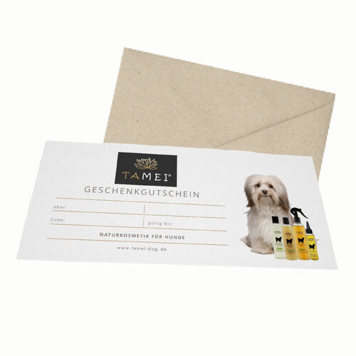 Geschenkgutschein-Karte mit Umschlag