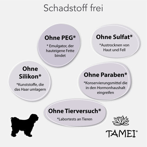 Sommer 4er Set - Frische & Schutz