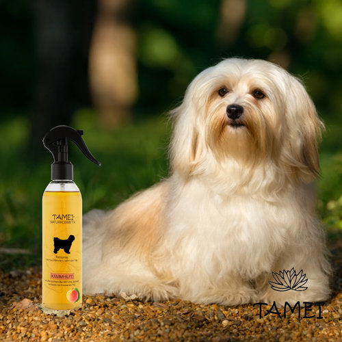 Sommerspecial Fellspray und Kämmhilfe