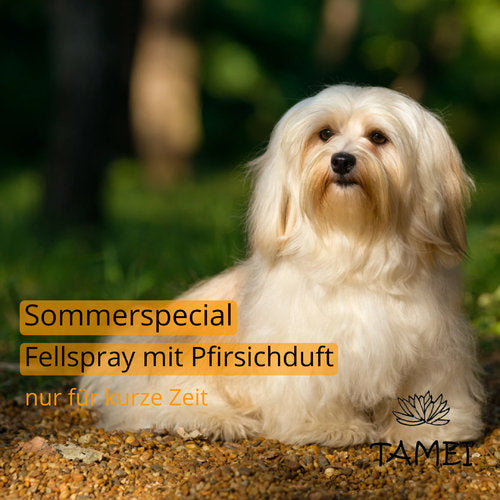 Sommerspecial Fellspray und Kämmhilfe