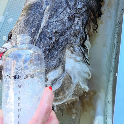 Mischflasche für Hundeshampoo