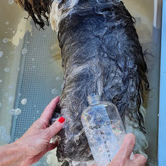 Mischflasche für Hundeshampoo